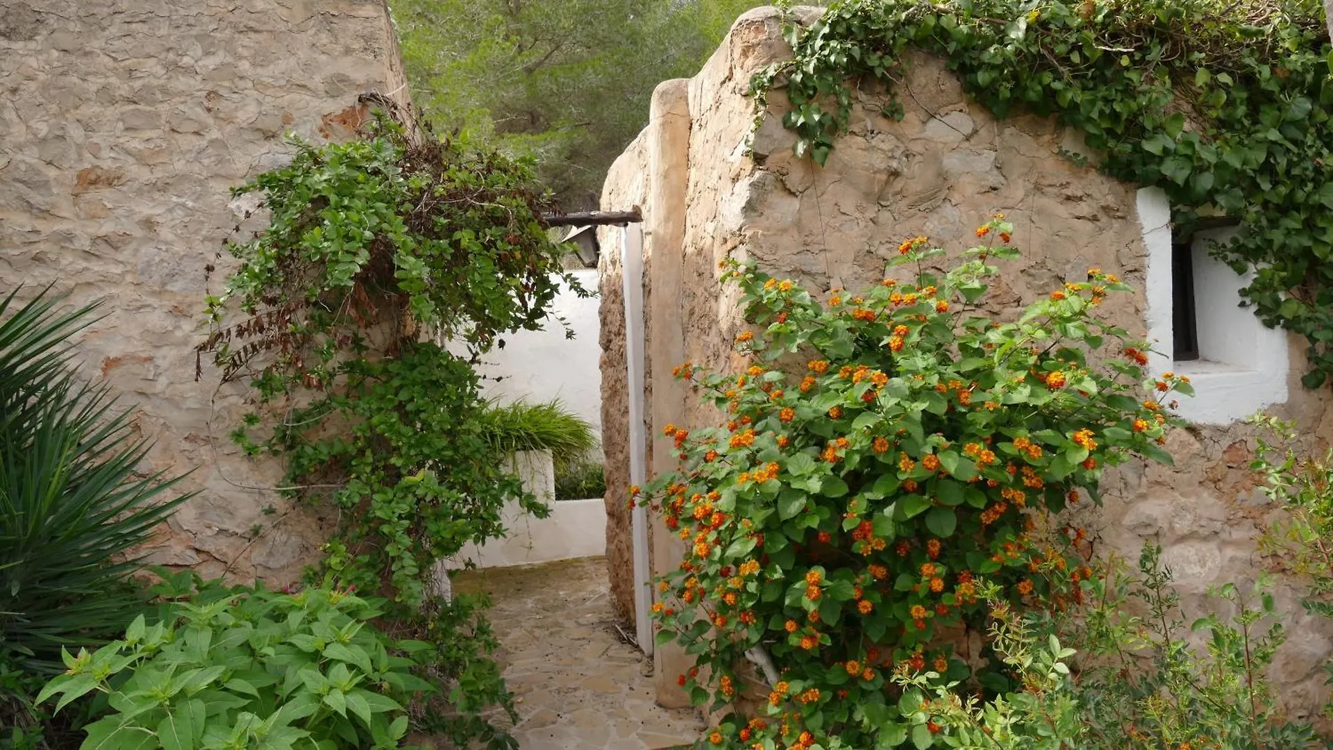 Encantadora Casa Ibicenca Sant Josep de sa Talaia