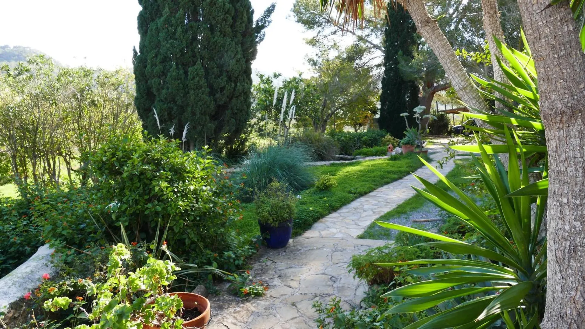 Encantadora Casa Ibicenca Sant Josep de sa Talaia Spain