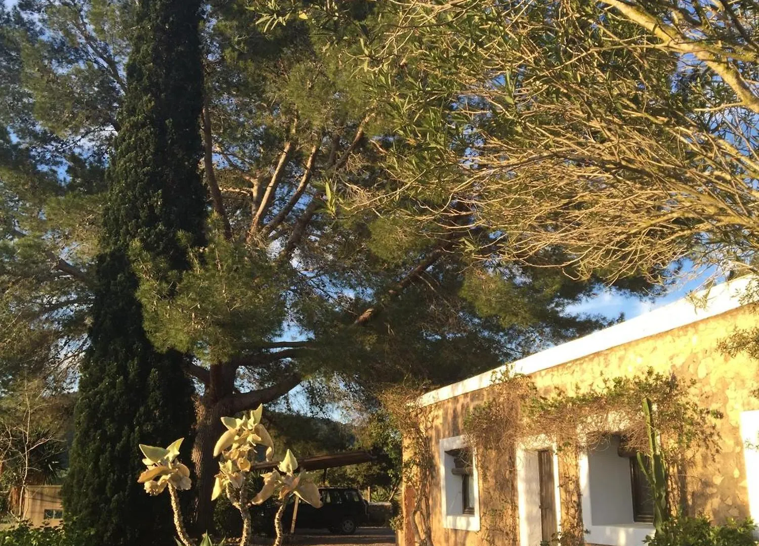 Encantadora Casa Ibicenca Sant Josep de sa Talaia Spain