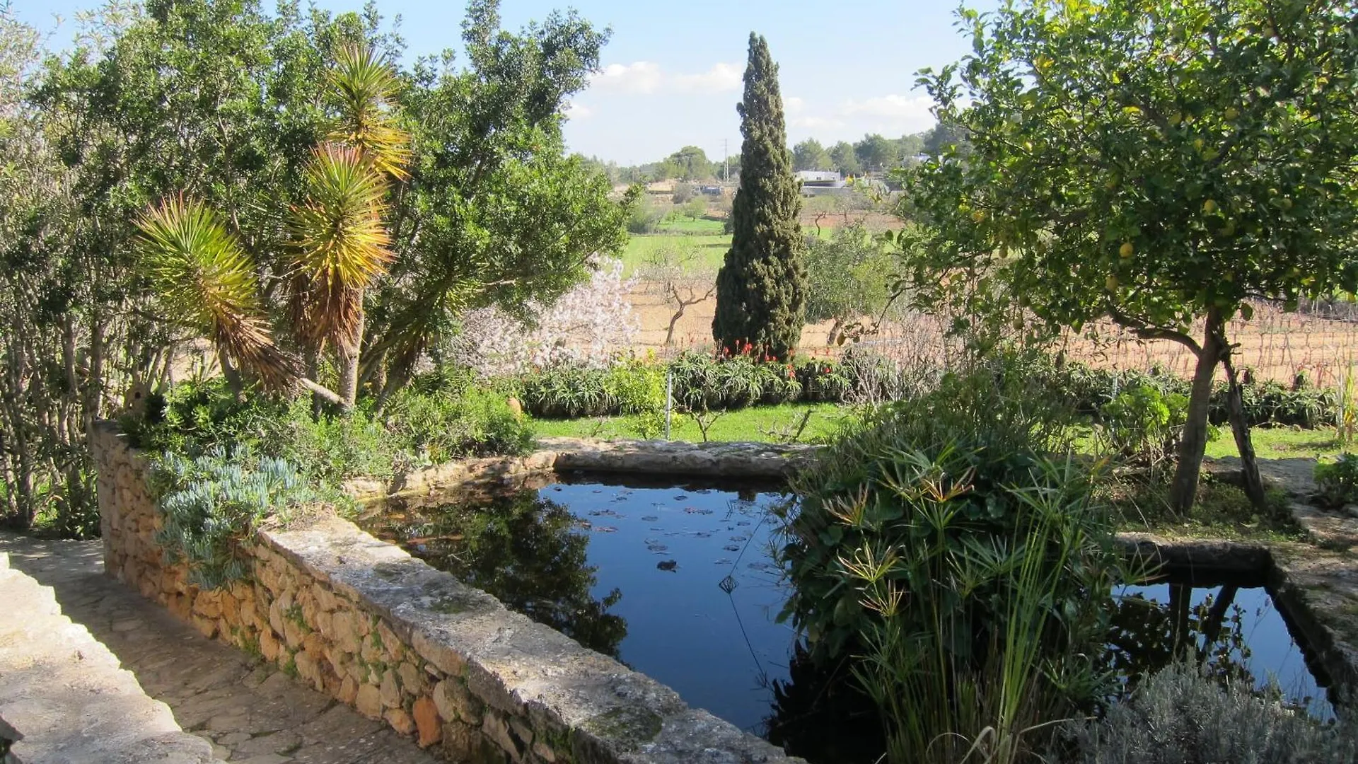 Encantadora Casa Ibicenca Sant Josep de sa Talaia Villa