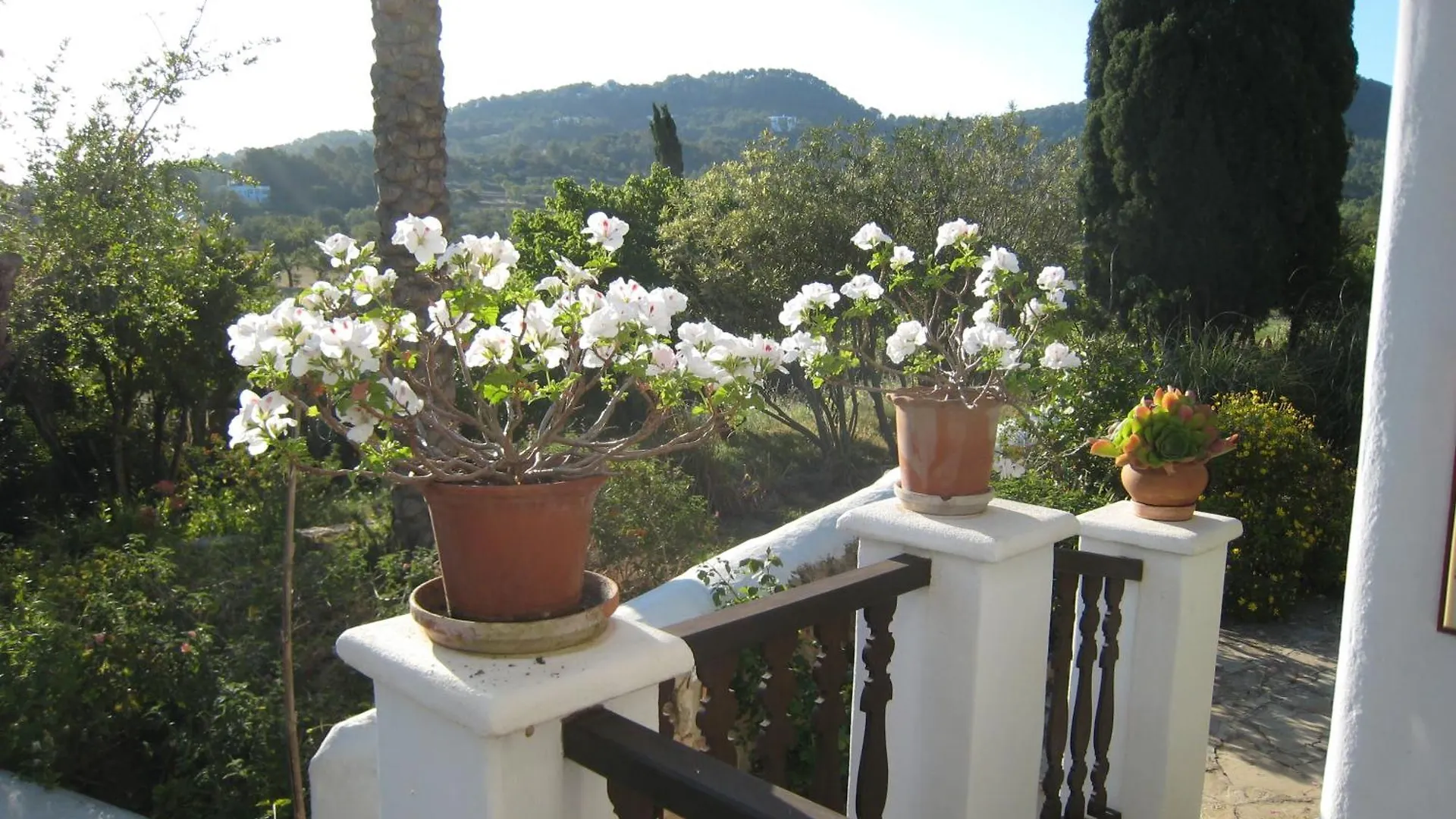 Villa Encantadora Casa Ibicenca Sant Josep de sa Talaia Spain