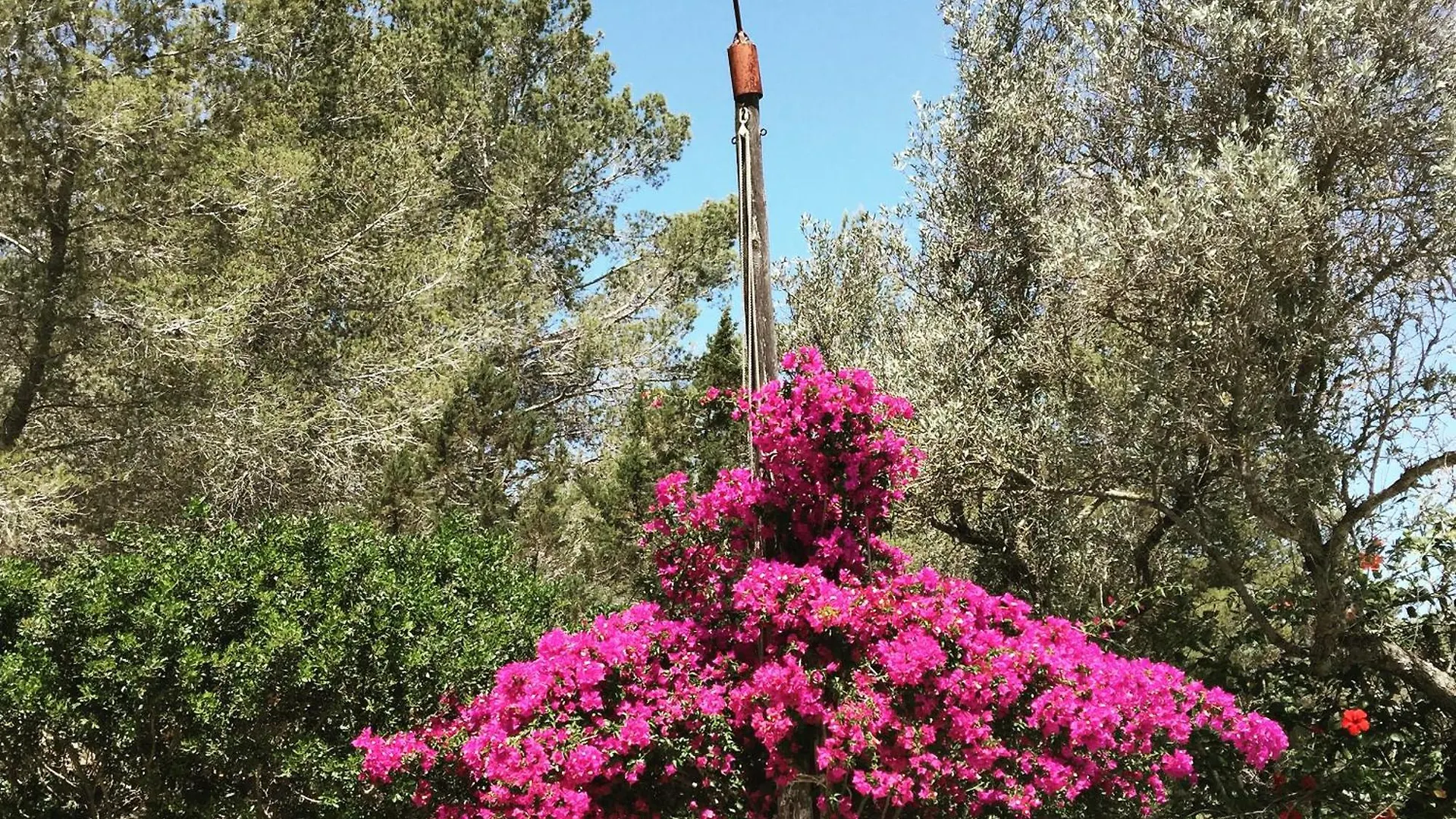 Encantadora Casa Ibicenca Sant Josep de sa Talaia Villa